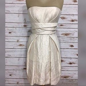 Strapless Champagne Dress